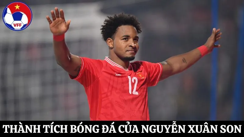 Các giải thưởng của Nguyễn Xuân Son